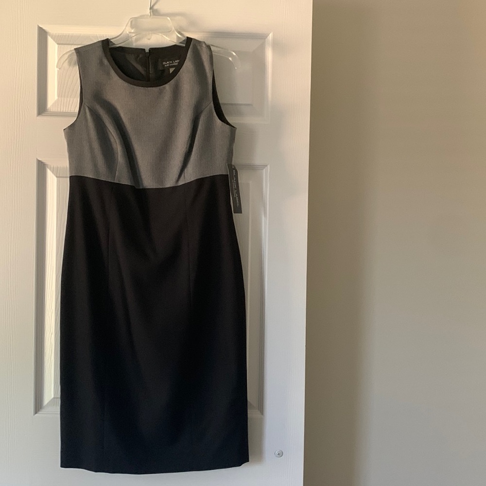 Size 4 Black Label Sheath Dress
